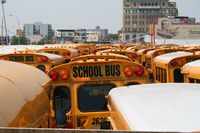 school, bus, buses, transport, coney island